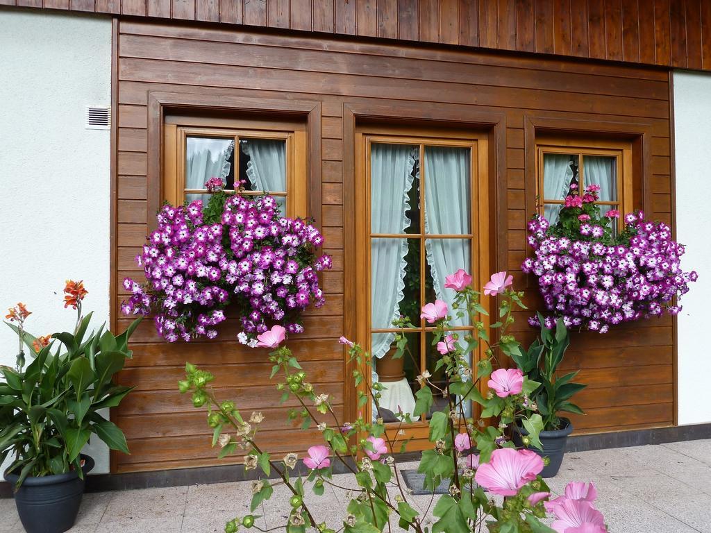 Haus Silvia Διαμέρισμα Werfenweng Εξωτερικό φωτογραφία